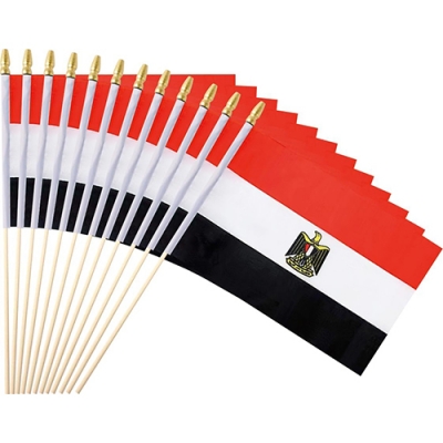 Custom Egypt Hand Flag