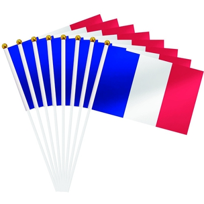 Custom France Hand Flag